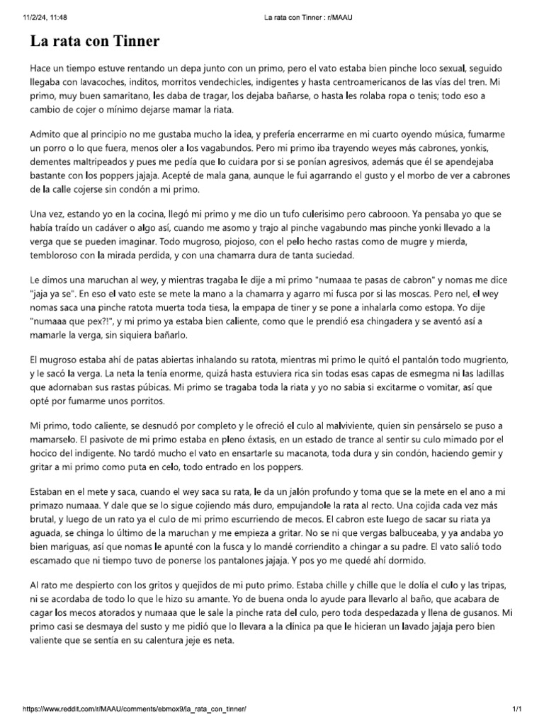 la-rata-con-thiner-pdf