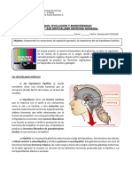 Guía N°7 Biología 