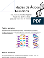 Generalidades de Ácidos Nucleicos