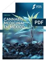 Cannabis Cuidados 2024