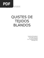 Download Quistes de Tejidos Blandos Informe by Angelica Reiki SN71232843 doc pdf