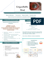 3.1 Conjuntivitis Viral