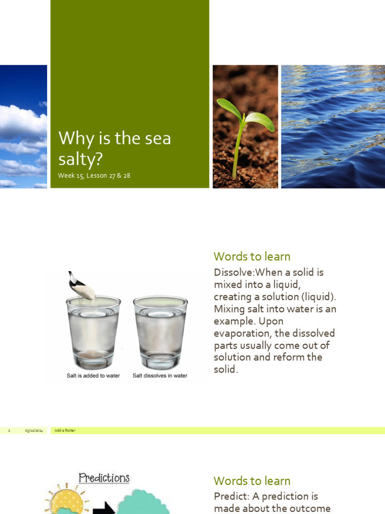 Why Is The Sea Salty | PDF | Seawater | Water