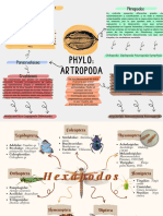 Mapa Mental Lepidopteros