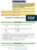 1.5. - 1.6. DETERMINANTES y DETERMINANTES PRO COFACTORES