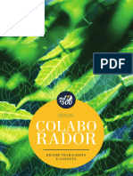 Manual Colaborador PDF