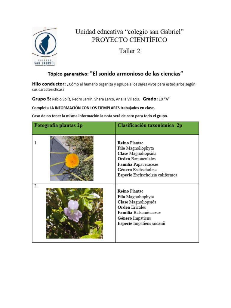 Clasificación Taxonómica en Plantas y Aves | PDF | Especies | Taxonomía  (biología), image size:768x1024