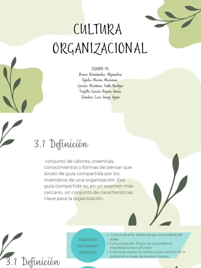 Cultura Organizacional | PDF | Crecimiento personal y profesional