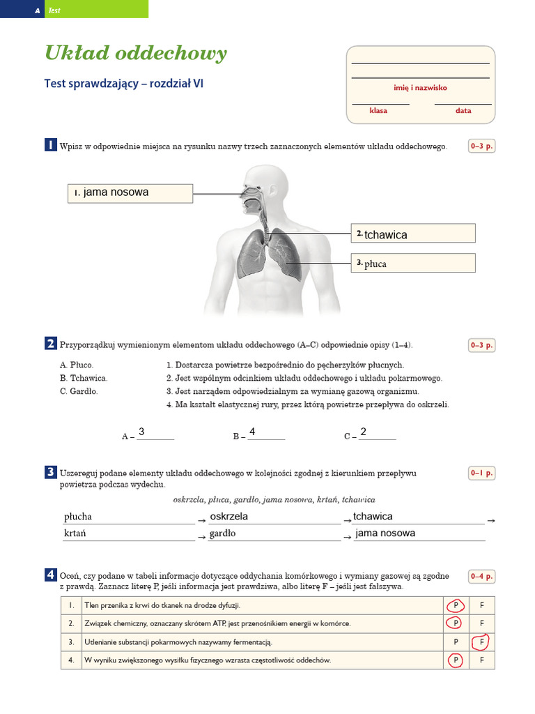Test Uklad Oddechowy | PDF