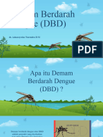 DBD - Al Anwar 2