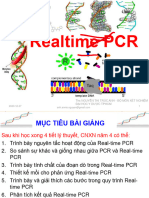 4 - Realtime PCR