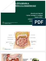 C 11 - Intestin Subtire Si Mezenter