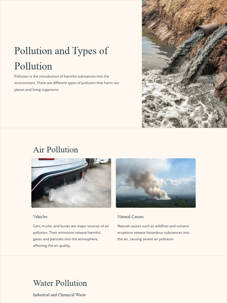 Types and Effects of Pollution Explained | PDF