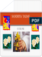 Sandhya Yadav