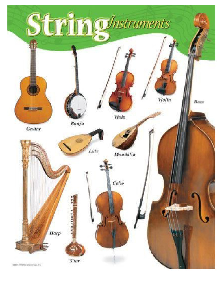 Stringed Musical Instruments | PDF