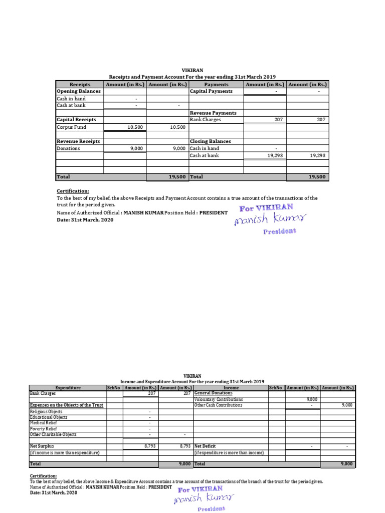 Annual accounts of the ngo download free pdf expense revenue