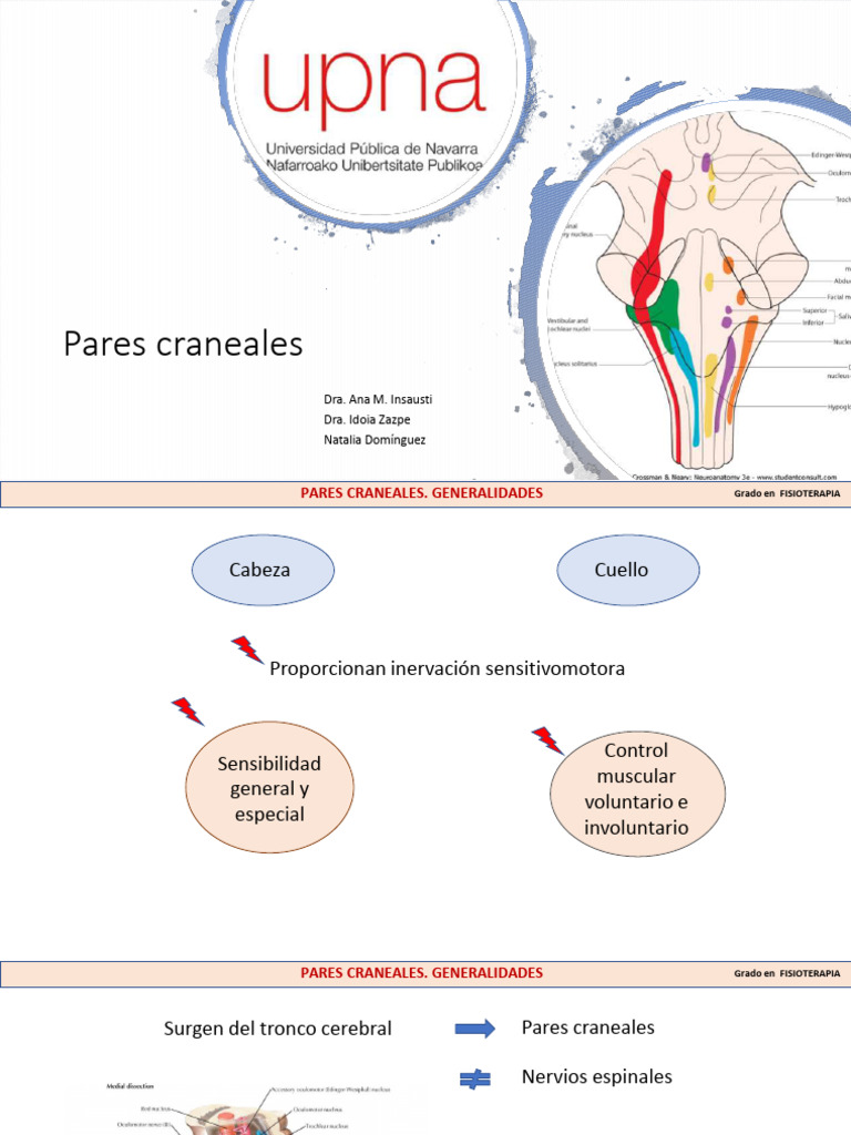 Generalidades+y+Par+I+22 23 | PDF | Neurona | Sistema nervioso