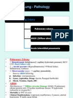 18436469 Lung Pathology