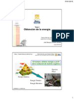 Tema 1. Obtención de Energía