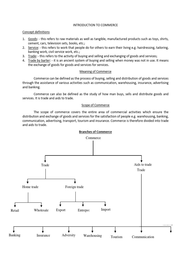 3402 Introduction To Commerce Pdf Commerce Trade
