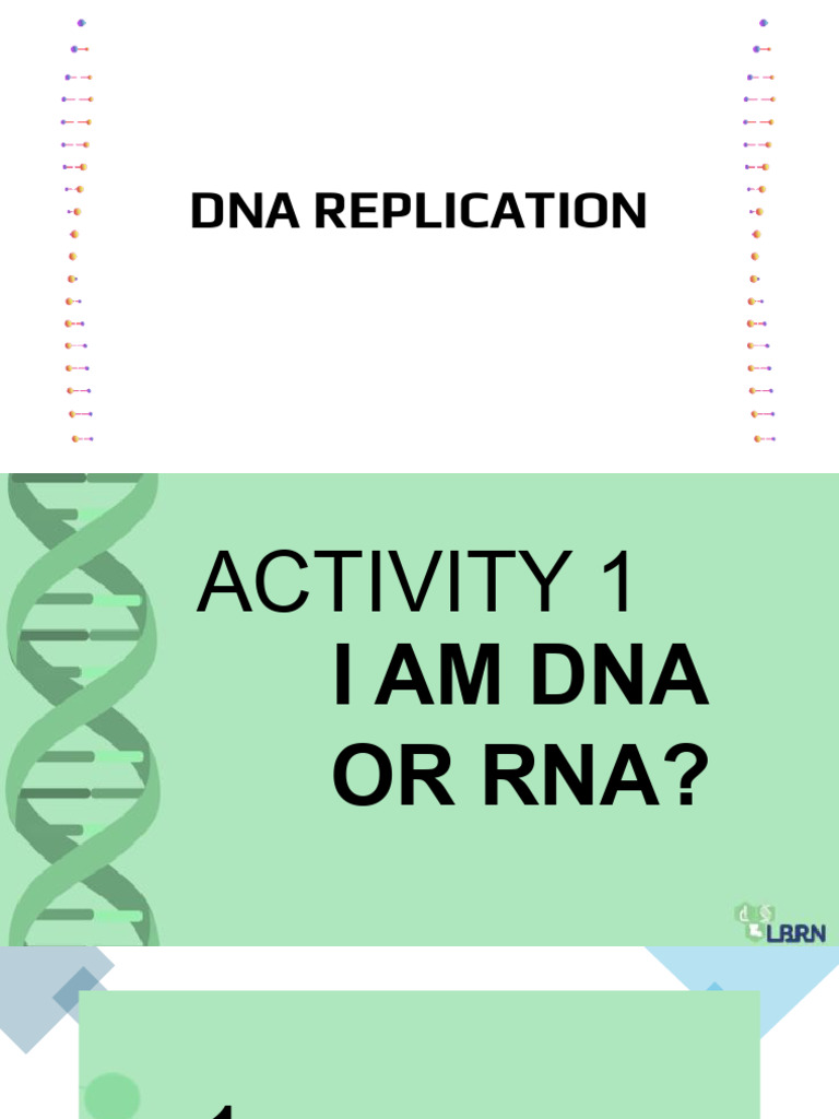 DNA Replication Activities | PDF | Teaching Methods & Materials