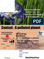 Phytoextraction of Heavy Metals