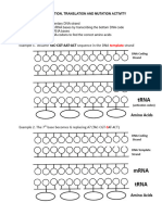 Activity 1. Transcription, Translation and Mutation