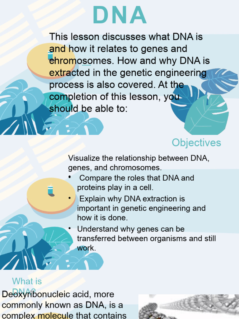 Understanding DNA and Its Role | PDF | Science & Mathematics
