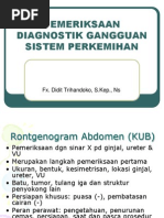Download Pemeriksaan Diagnostik Gangguan Sistem Perkemihan by Paskalis Arindito SN71244424 doc pdf
