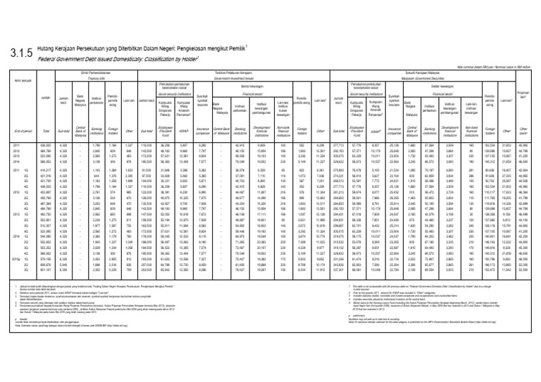 Federal Government Debt Issued Domestically: Classification by Holder | PDF