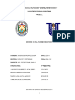 Informe Platabanda Pimenton Pt. 1