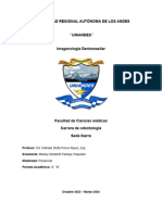 Ia en Imagenologia Dentomaxilar