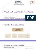 Músculos Da Coluna e Pelve - Elislayny Santos