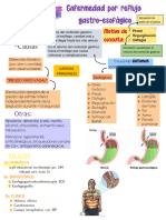 GASTROENTEROLOGIA ERGE enfermedad por reflujo gastro-esofagico