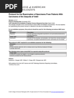 CAP Cancer Protocol Colon NET | PDF | Large Intestine | Pathology