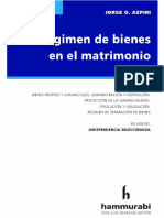 Regimen de Bienes en El Matrimonio. 2020. Jorge Azpiri - Organized - Organized