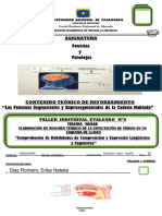 Documento de Cotización