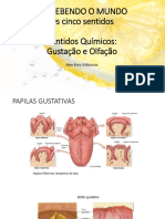 Olfação e Gustação 28 Abr 2023 Alex Kors Vidsiunas-1