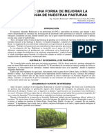 UNA FORMA DE MEJORAR LA Persistencia de Nuestras Pasturas 104-Leucaena