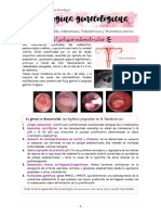 Patologias Uterinas PDF