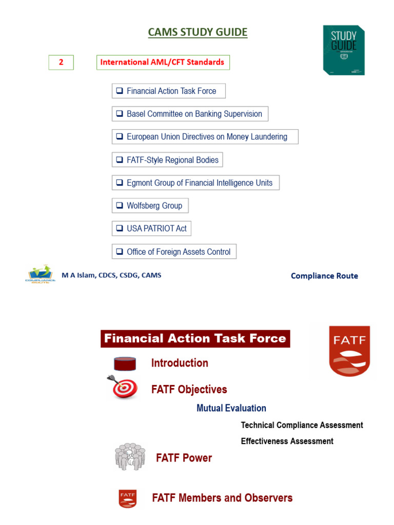 FATF Introduction | PDF | Money Laundering | Financial Regulation