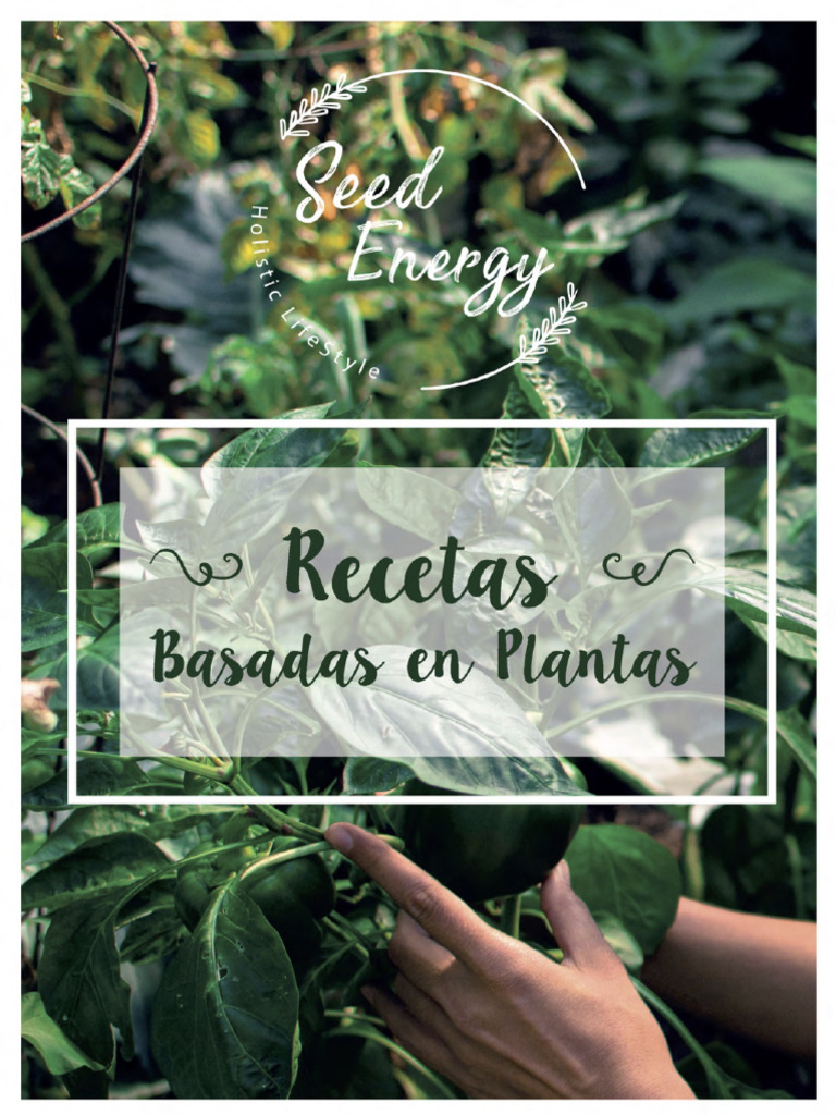 Recetas Basadas en Plantas Seed Energy | PDF