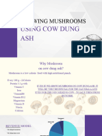 Mushroom Cultivation.