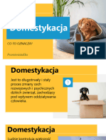 Domestykacja