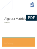 Algebra Matricial