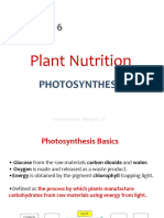 Plant Nutrition Lesson Summary