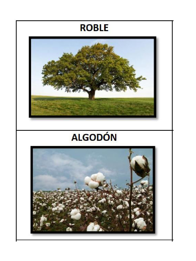 Plantas Industriales | PDF