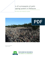 Analysis of A Pineappleoil Palm Intercropping Sys-Groen Kennisnet 498793