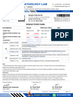 Positive Dengue Fever Test Report Format Example Sample Template Drlogy Lab Report