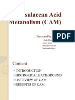Crassulacean Acid Metabolism (CAM)